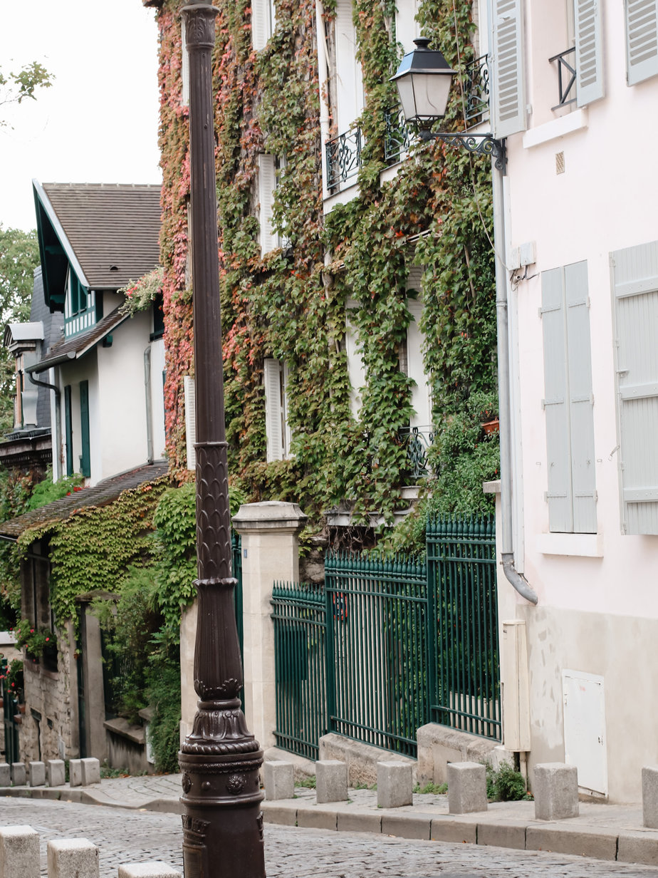 Fall covered leaves on a building in paris with shades of green and orange