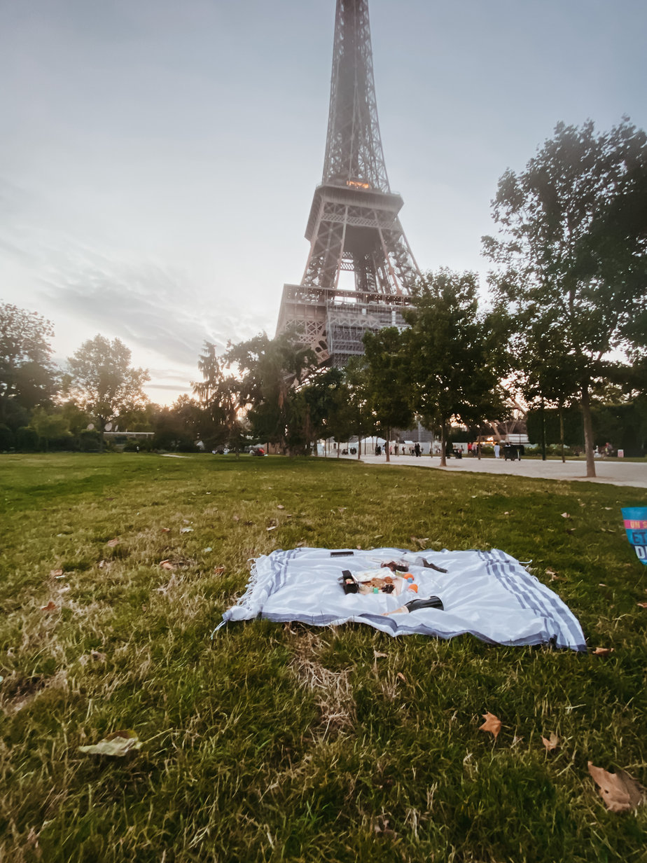 Picnic at the eiffel tower