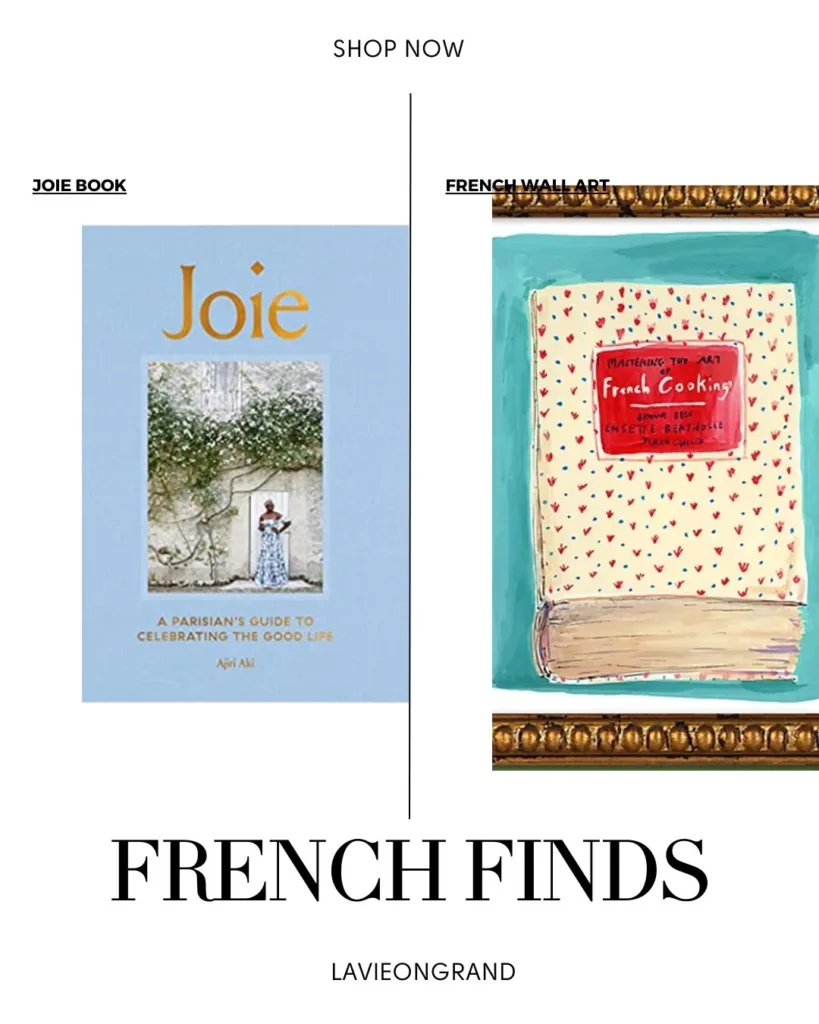 Graphic of Joie Book and French art print for a French Fridays.