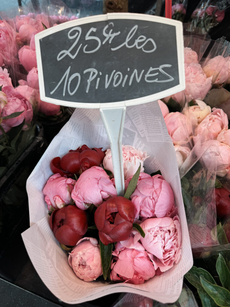 Picture of Peonies in Paris.