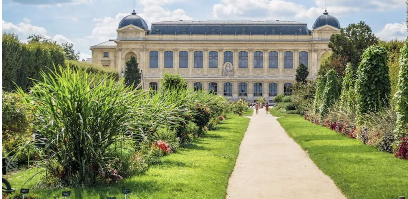 Jardin des Plantes | French Fridays Edition No. 4