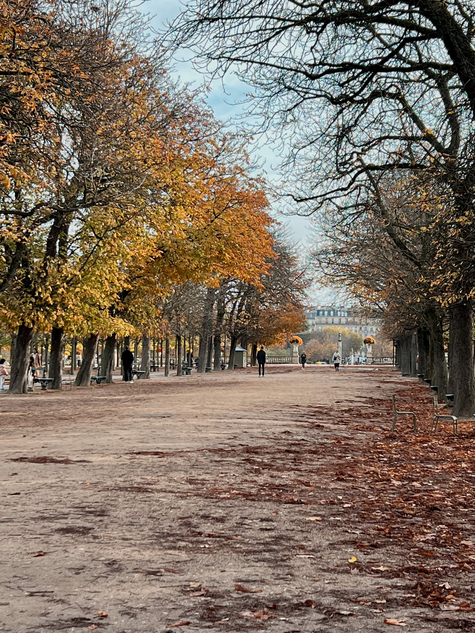 The luxembourg gardens in paris in the fall with leaves on the ground.