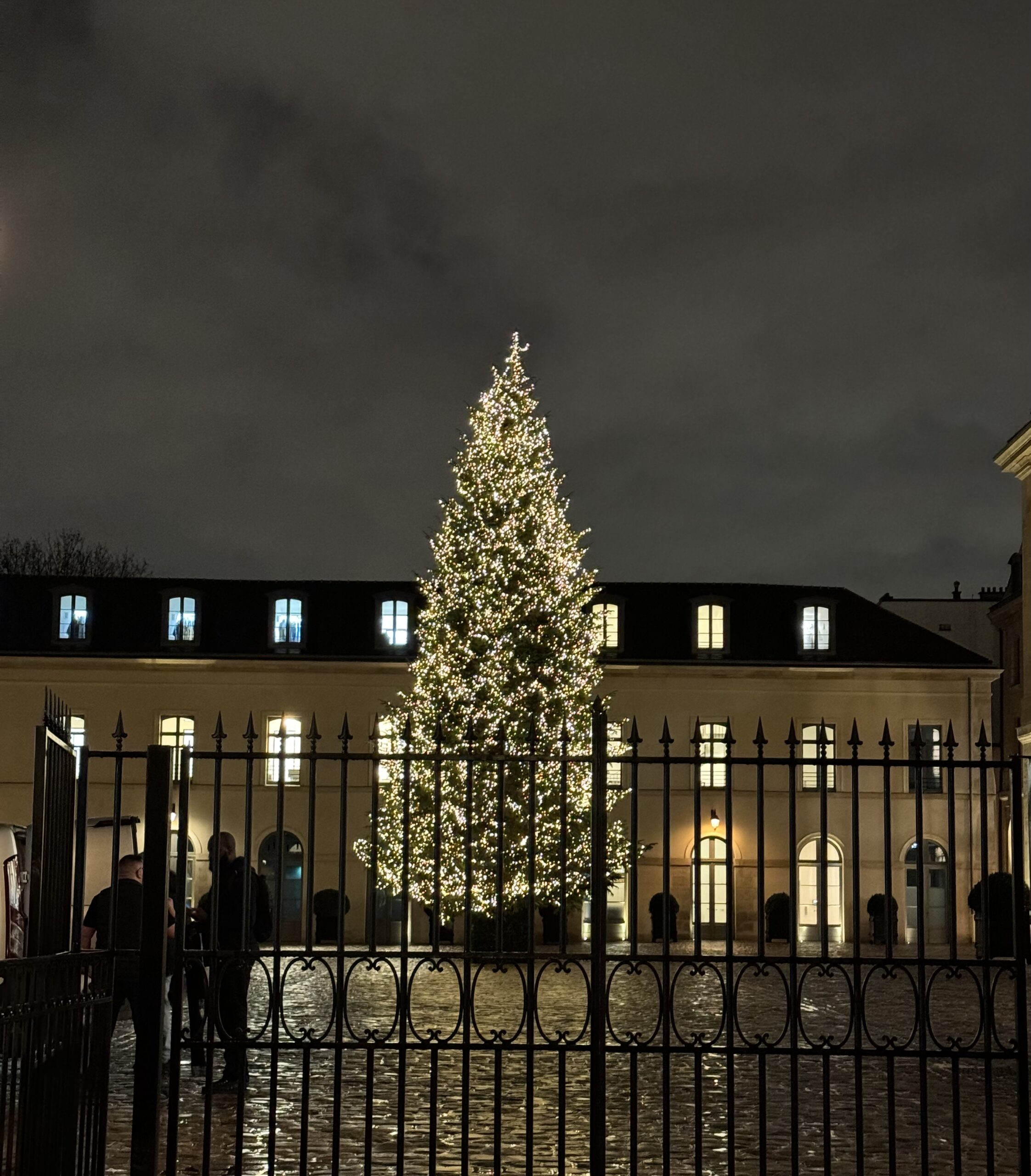 christmas tree | Christmas Markets In Paris