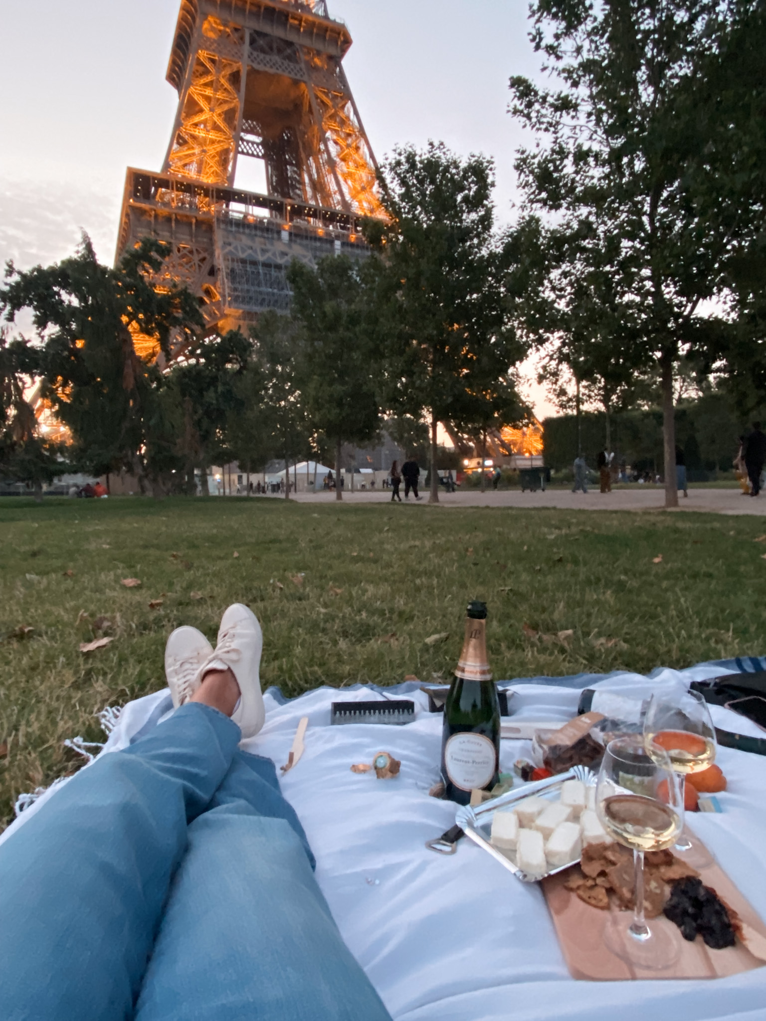 a picnic on the lawn of the eiffel tower in paris.