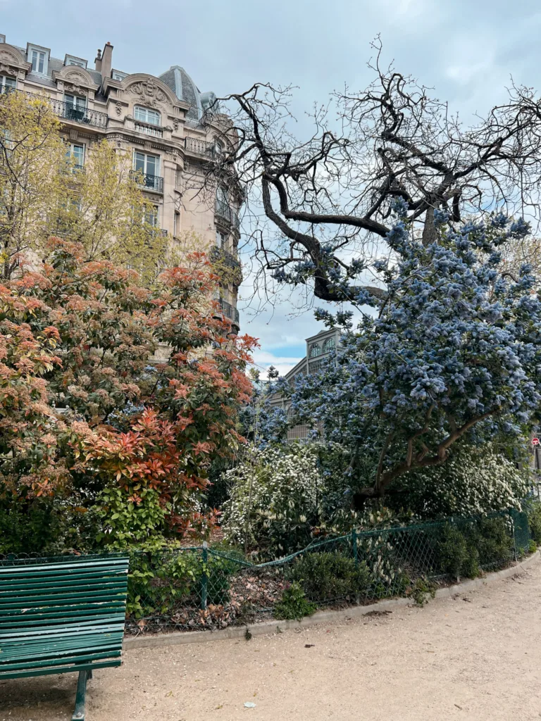 Paris Park In Spring