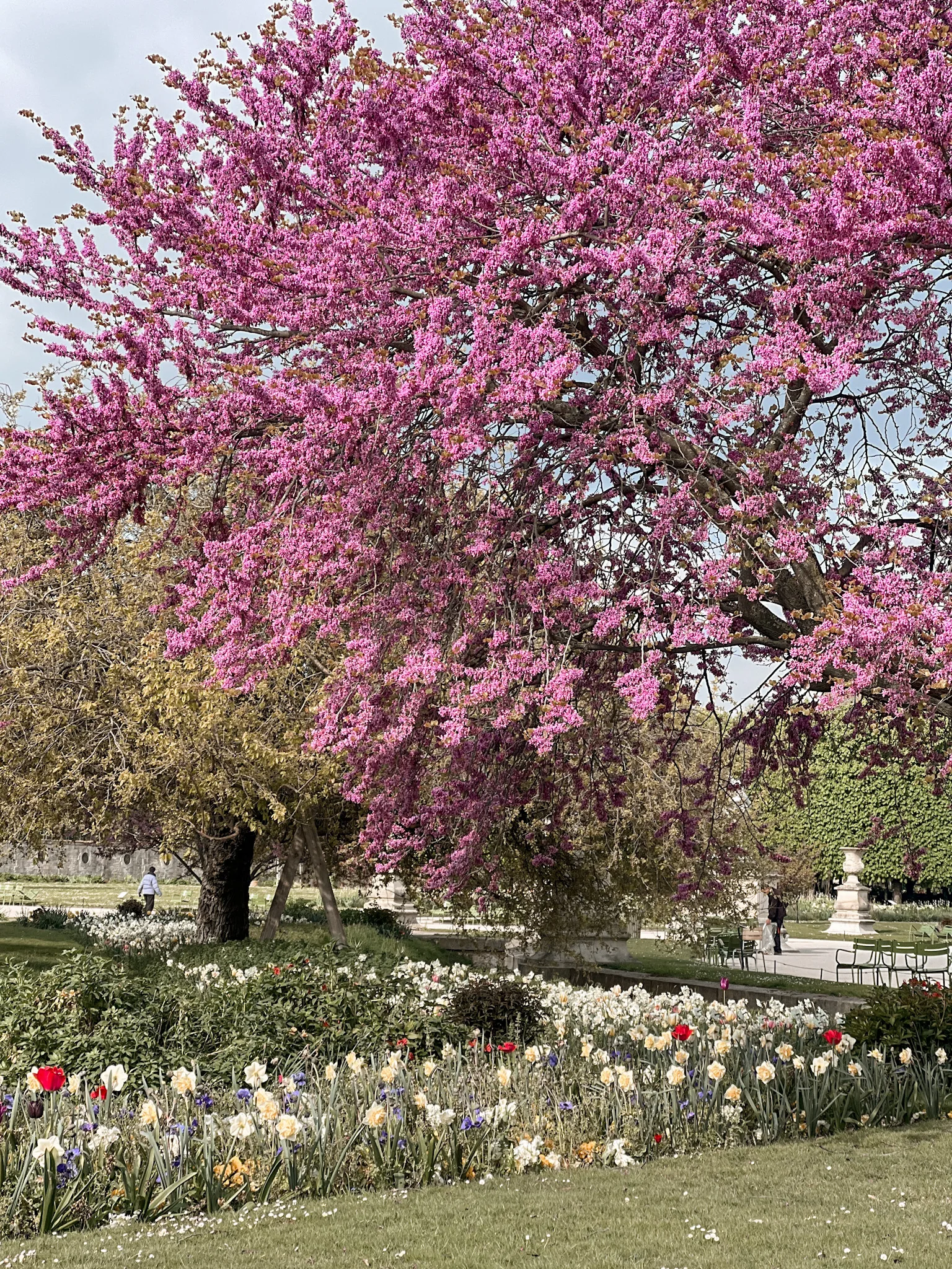 Tuilereis Garden in Paris