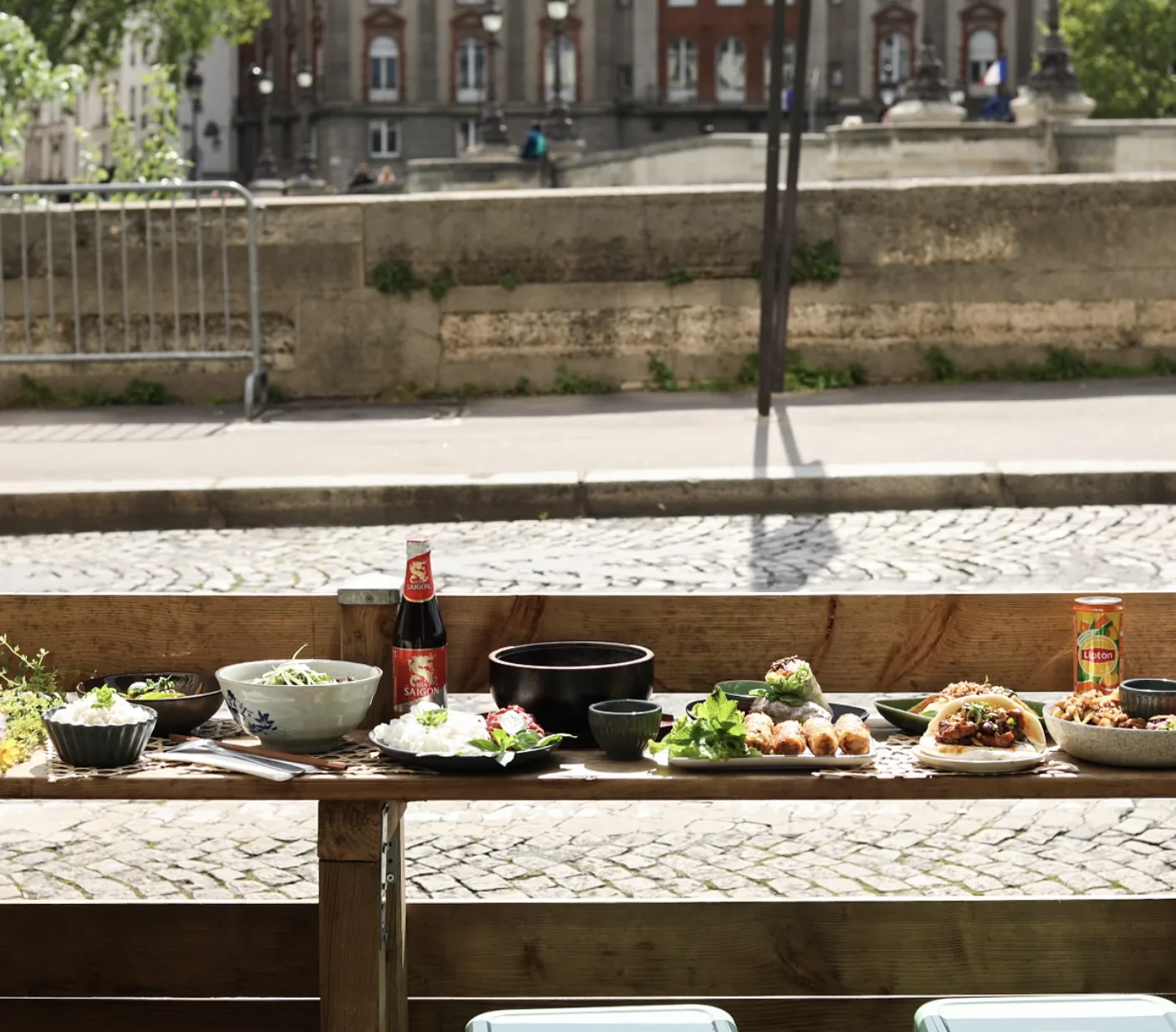Sushi sitting on a rail looking out into Paris.