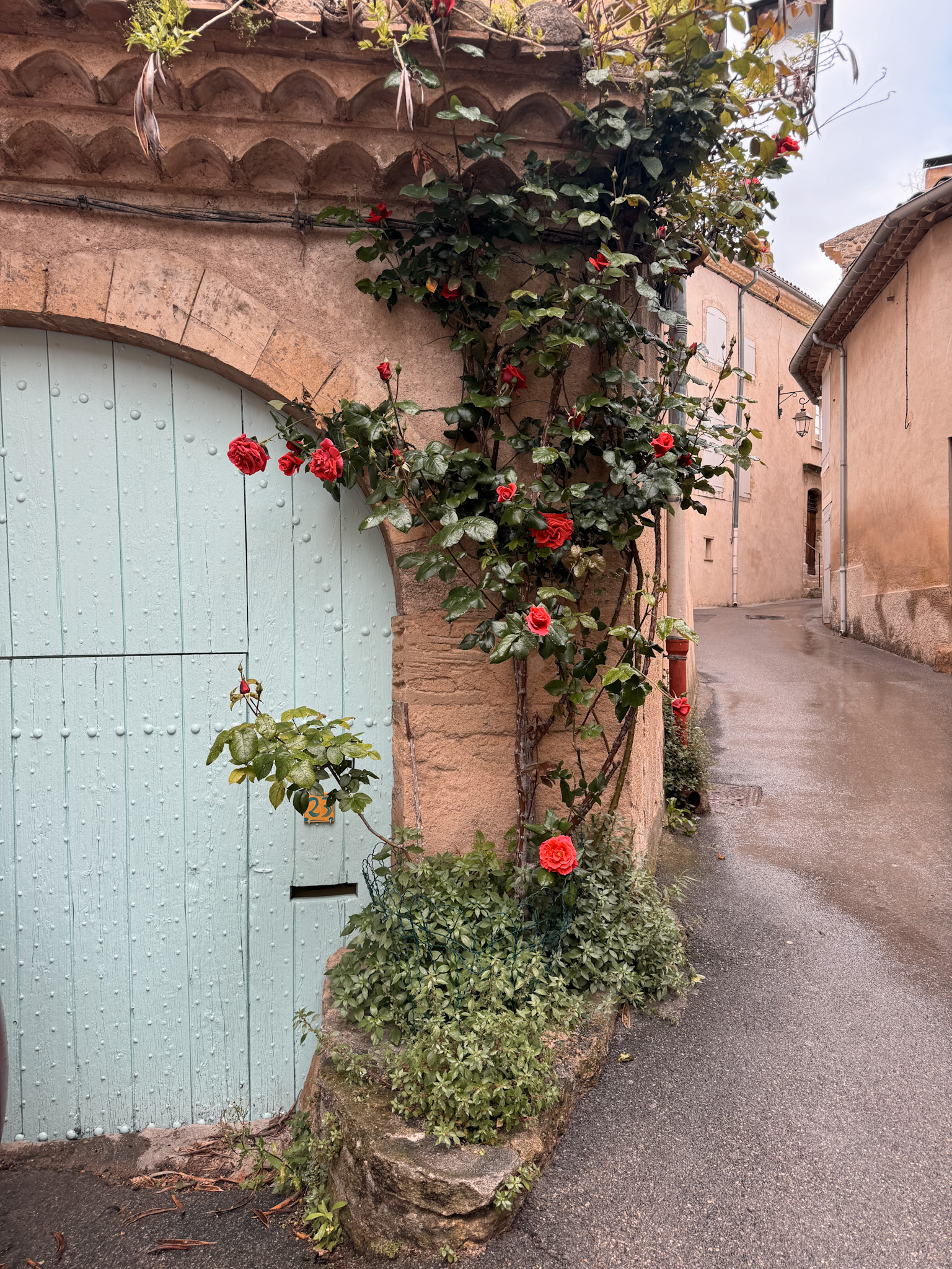 Charming narrow street in Lourmarin with stone buildings, climbing roses, and pastel blue door in Provence